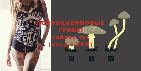 шишки Балахна