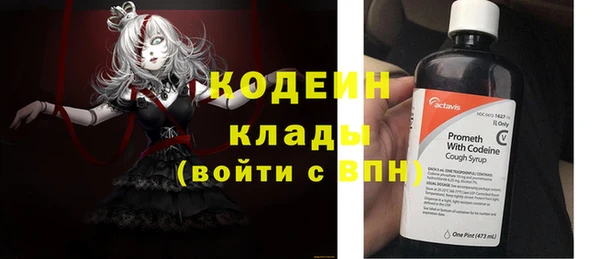 шишки Баксан