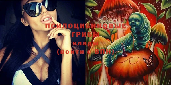 шишки Баксан