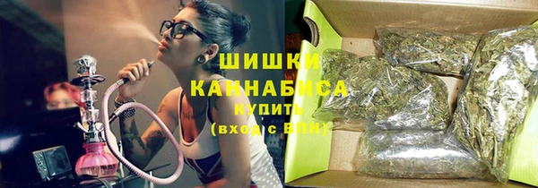 шишки Балахна