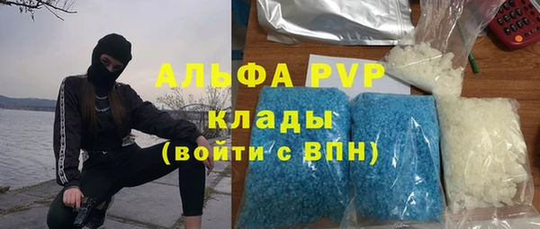 шишки Балахна